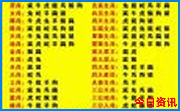 成都的县城有哪些地方